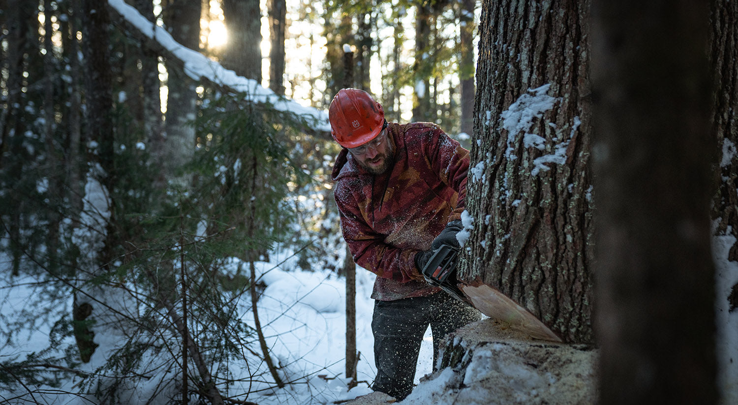 How to cut a tree with Max Béland