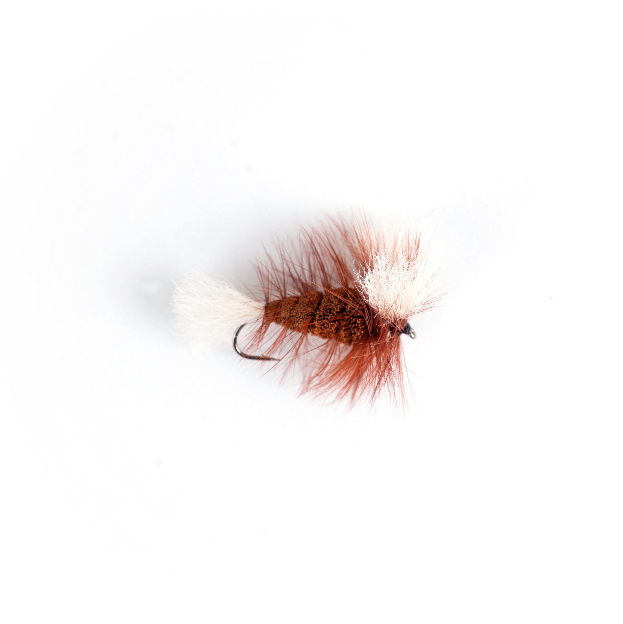 Burned Orange - White Tail - Brown Hackle (Wulff Bomber)