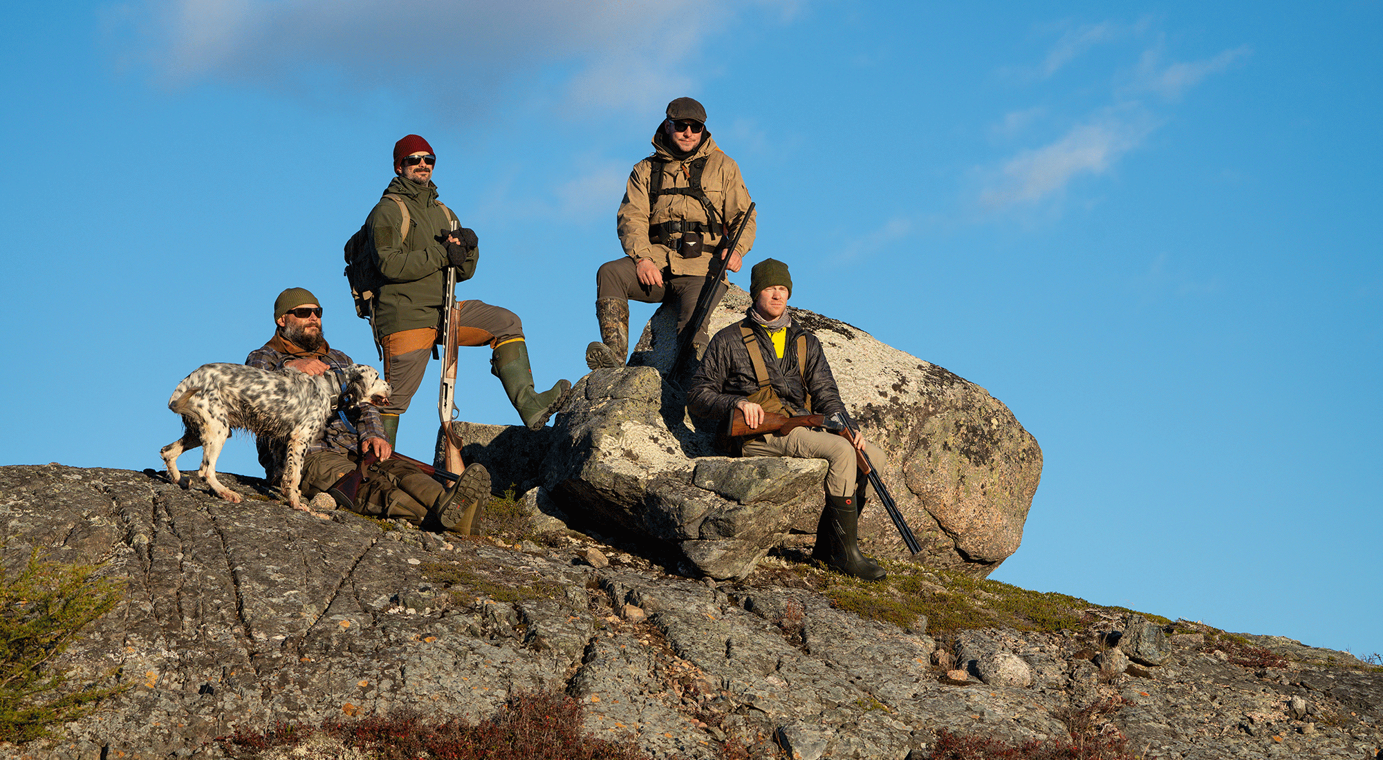 Newfoundland Part 1 - Tracking partridge with pointer dogs