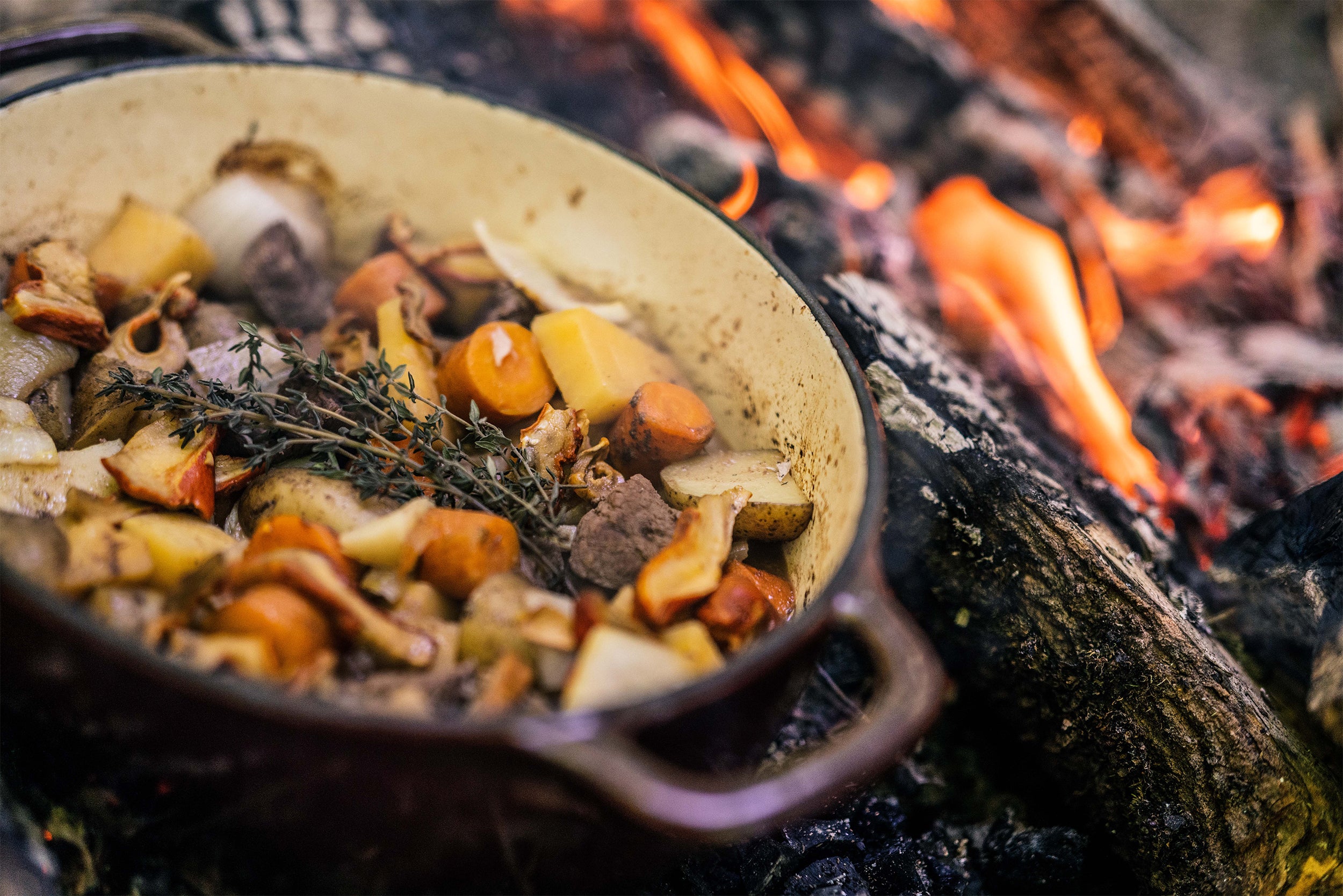 Braised Moose & Chanterelle Stew from Paul Templeton
