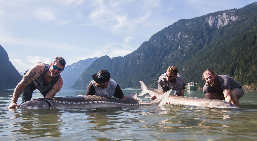 Sturgeon Leaders – Pacific Coast Outdoors