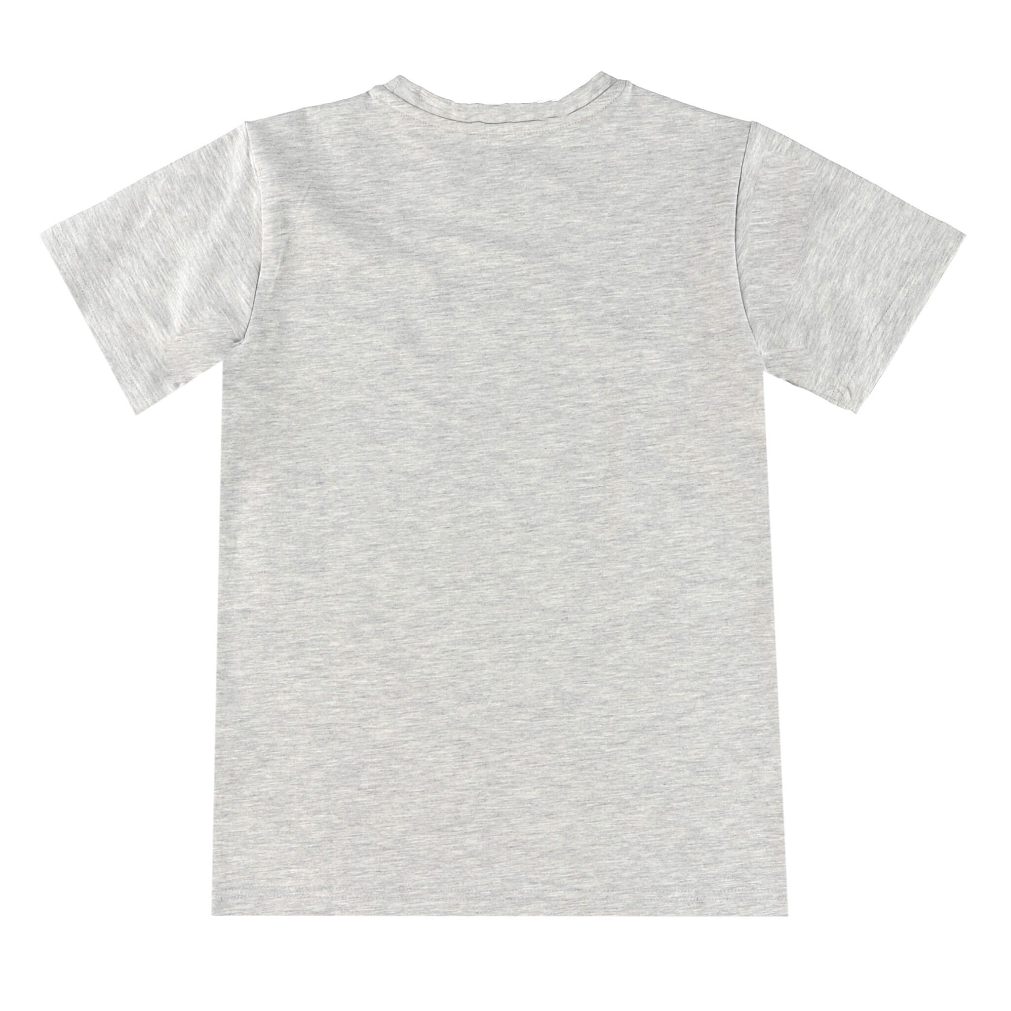 K's Big Fish T-Shirt-8 / Grey