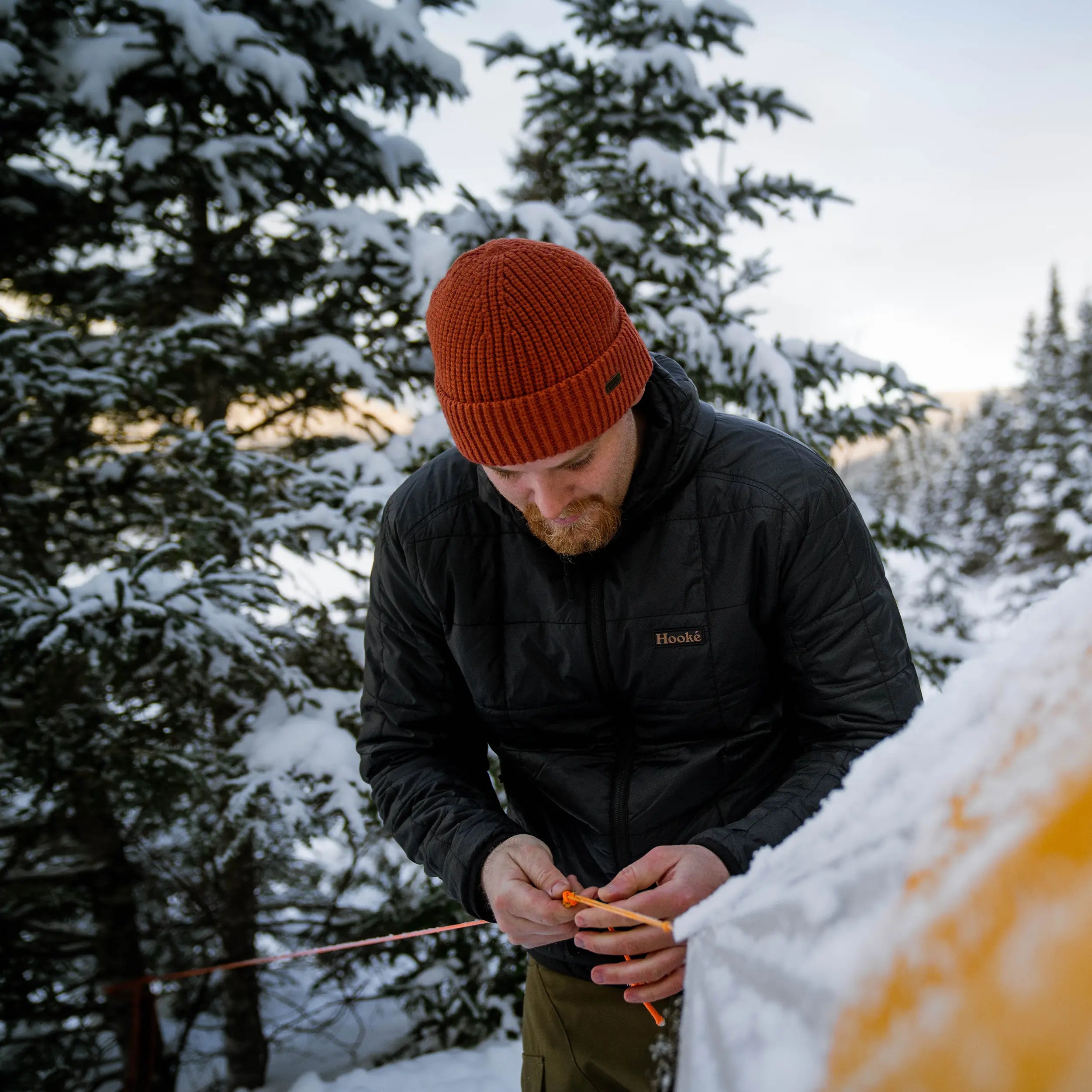 Tuque Montagne